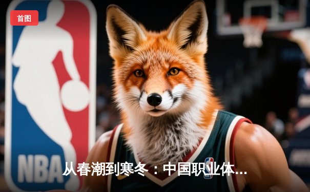 从春潮到寒冬：中国职业体育的资本狂欢与理性回归
