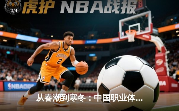 从春潮到寒冬：中国职业体育的资本狂欢与理性回归 - 2