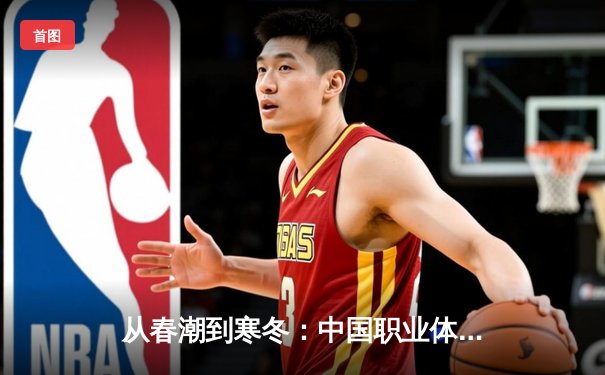 从春潮到寒冬：中国职业体育的资本狂欢与理性回归